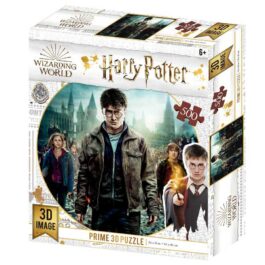 3D Puzzle 500 Harry Potter Hermione and Ron