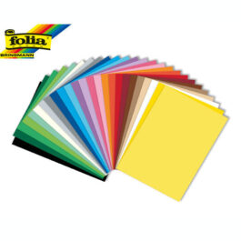 Χαρτόνι Folia Α4 220gr Διάφορα Χρώματα 100 φύλλα