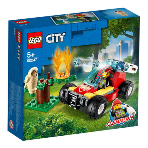 Forest Fire