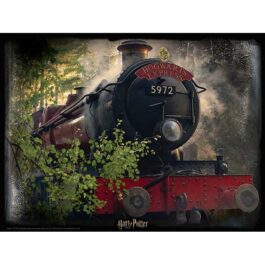 3D Puzzle 500 The Hogwarts Express