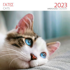 Ημερολόγιο Επιτοίχιο 2023 Γάτα